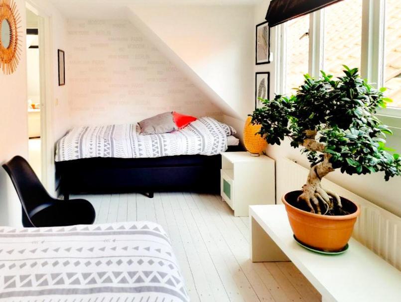 Appartement B&B Pandhouse Oud-Beijerland Ngoại thất bức ảnh